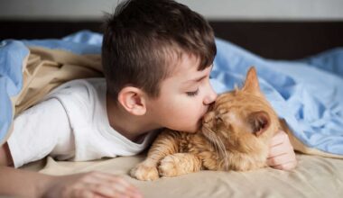 Boy Kisses A Ginger Cat On A Bed