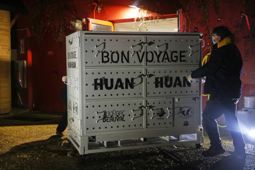 A container holding Huan Huan, who will be flown to China, is loaded onto a truck at the Beauval Parc Zoo in Saint-Aignan-sur-Cher, France, on November 25, 2025.