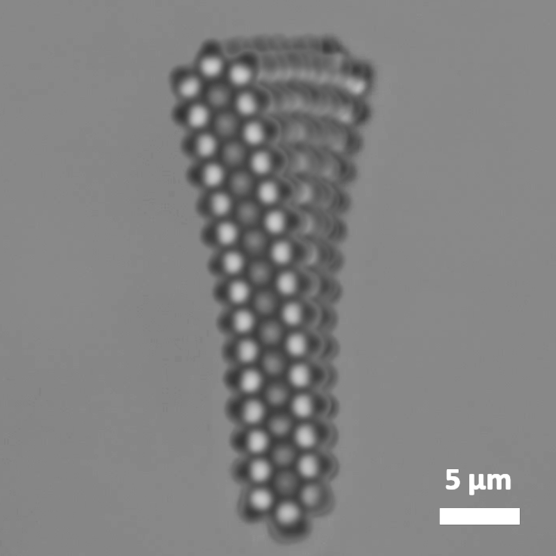 Figure caption
