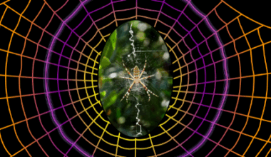 Spooky Sensor at a Distance - American Physical Society