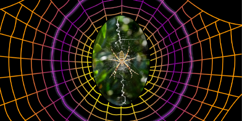 Spooky Sensor at a Distance - American Physical Society