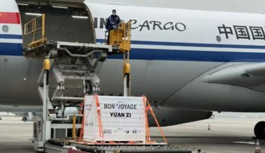Giant pandas Huan Huan and Yuan Zi arrive at Chengdu Shuangliu International Airport on Wednesday. Photo: Screenshot from Chengdu Research Base of Giant Panda Breeding