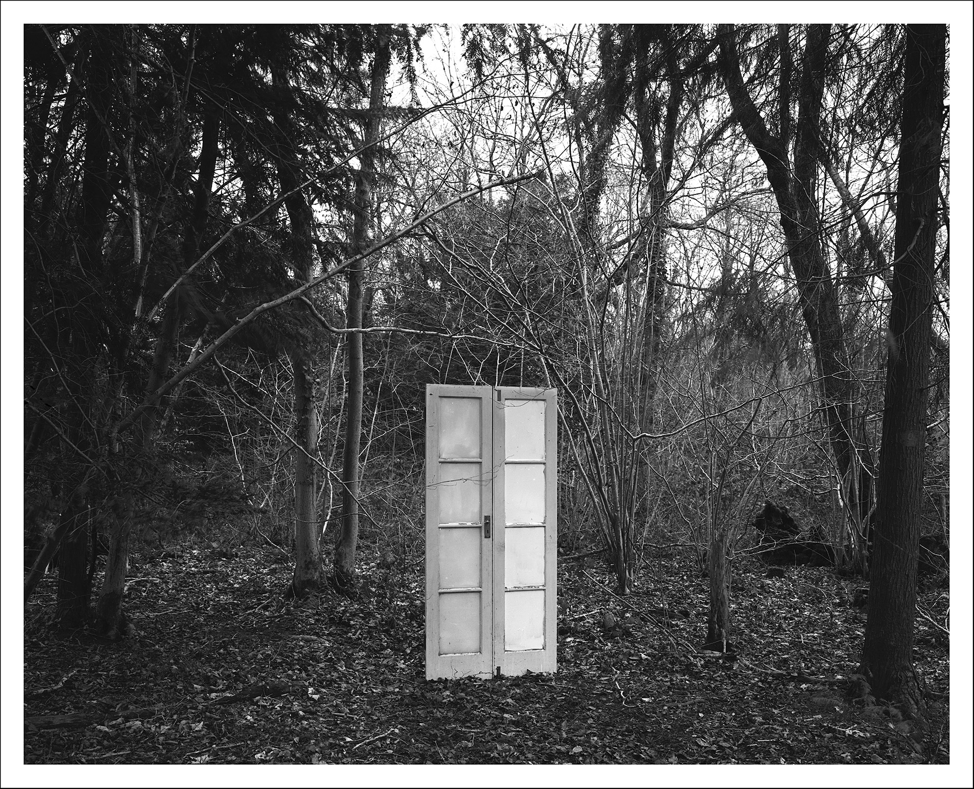 A weathered two-panel door stands amidst bare trees and overgrown brush in a desolate, monochrome forest setting