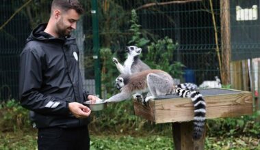 How opening up to the public saved this Kildare farm after it almost burned to the ground