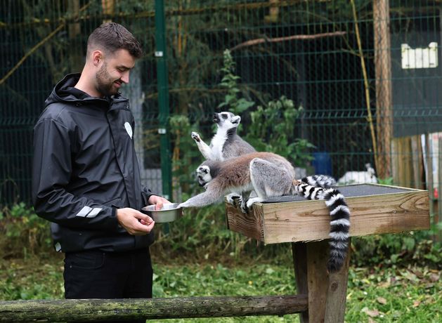 How opening up to the public saved this Kildare farm after it almost burned to the ground