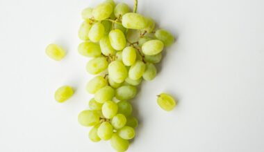 9 Of The Highest Flavanol Fruits