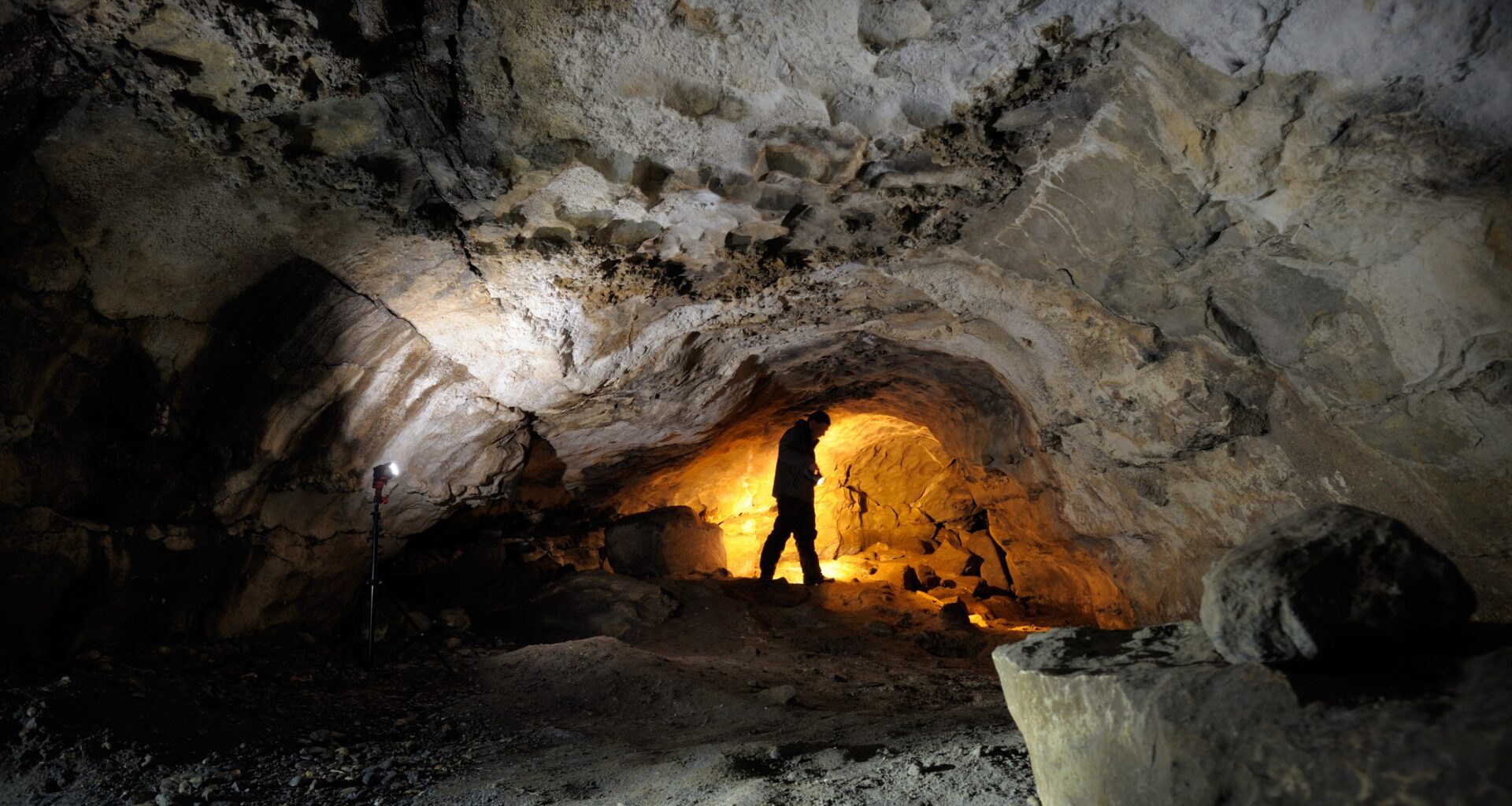 Ireland's first wildcat bones dating back 5,500 years uncovered in The Burren