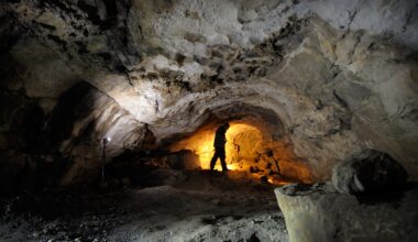 Ireland's first wildcat bones dating back 5,500 years uncovered in The Burren