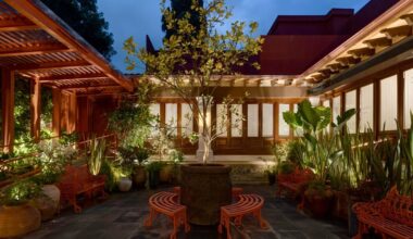 Frida Kahlo Family Home Museo Casa Kahlo Mexico City Opening