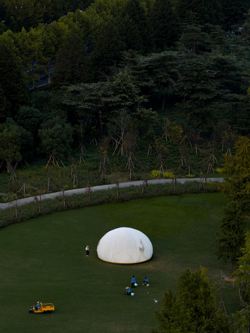 translucent illuminating dome bears bronze lattice of flower motifs in shanghai