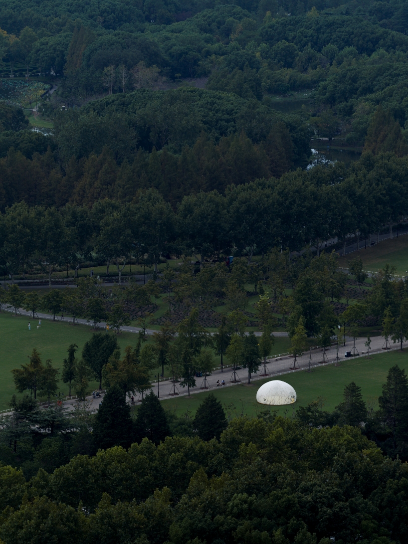 translucent illuminating dome bears bronze lattice of flower motifs in shanghai