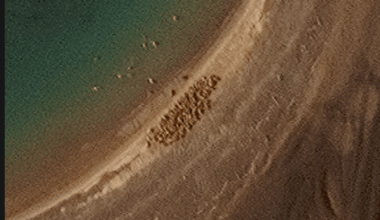 Satellites Capture Massive Gathering Of Gigantic Arctic Creatures On Remote Island