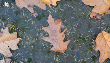 How Small Imperfections Make Landscape Photos Stronger