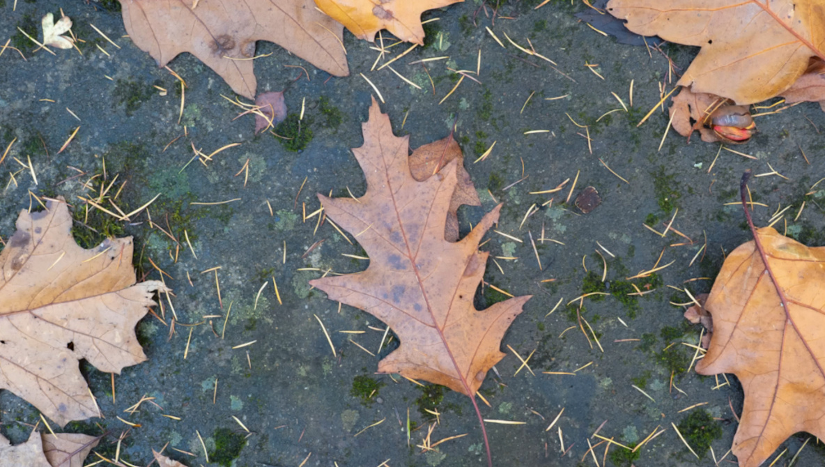 How Small Imperfections Make Landscape Photos Stronger