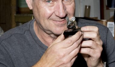 This artist designs intricate suits of armor. The intended wearer? A humble mouse : NPR