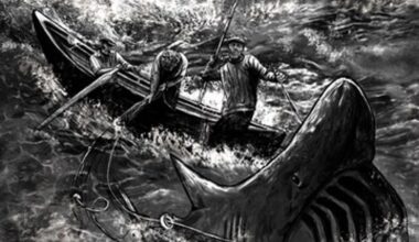 Revealing insight to shift in attitude to basking shark on Mayo island