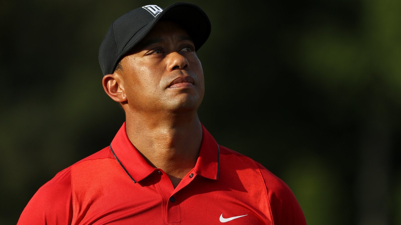 Tiger turns 50 - the rise, fall & rise of golfing great
