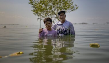 Gallery: 25 images from 2025