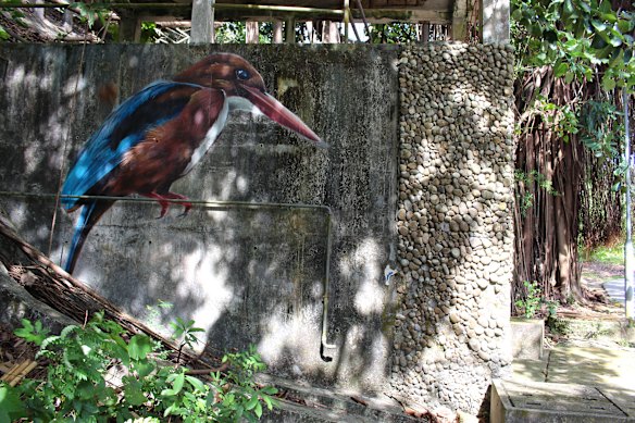 Birdlife at Wang Tong art walk.