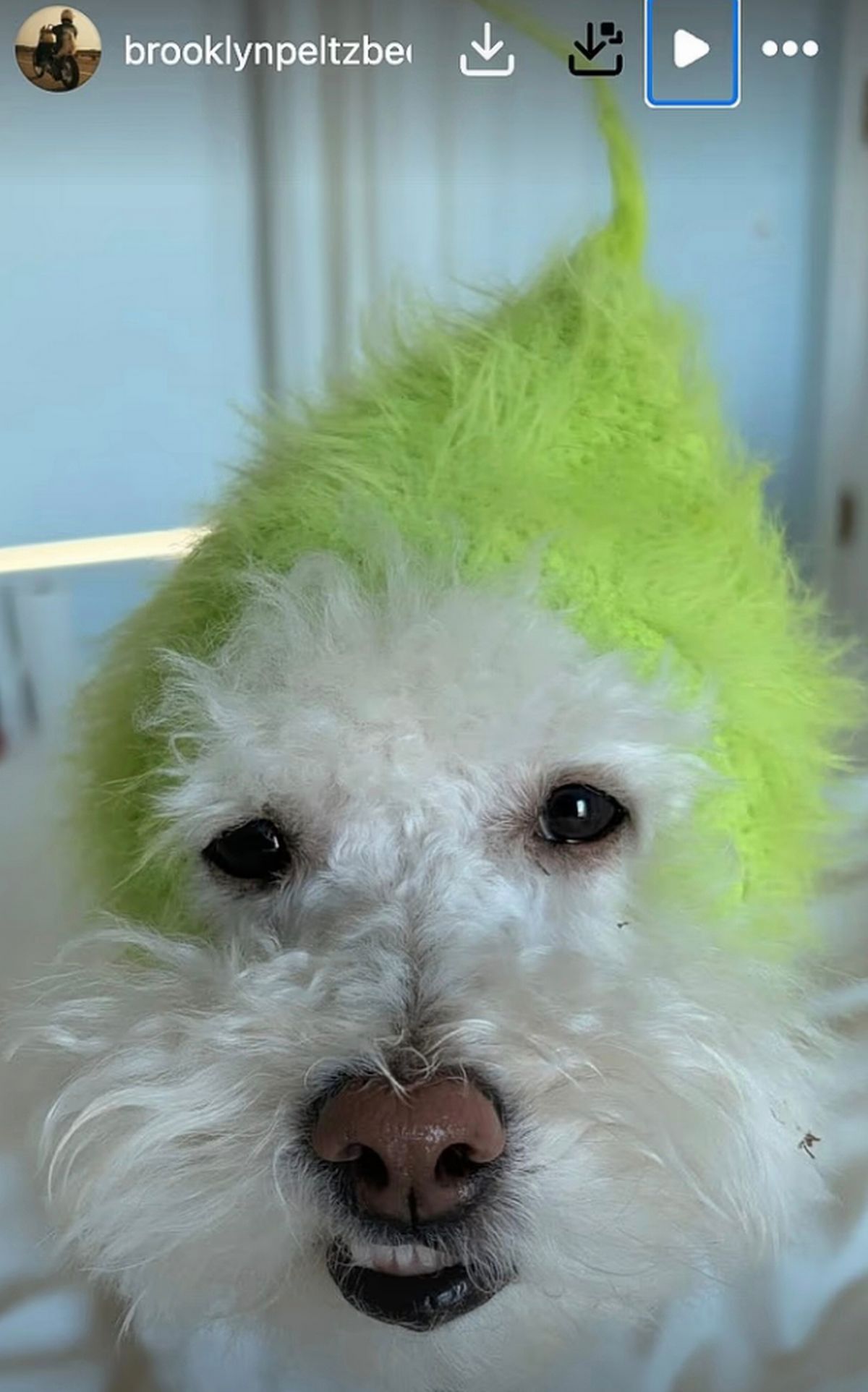 Brooklyn Beckham has been active on social media following his decision to skip out on Holly Ramsay's wedding 