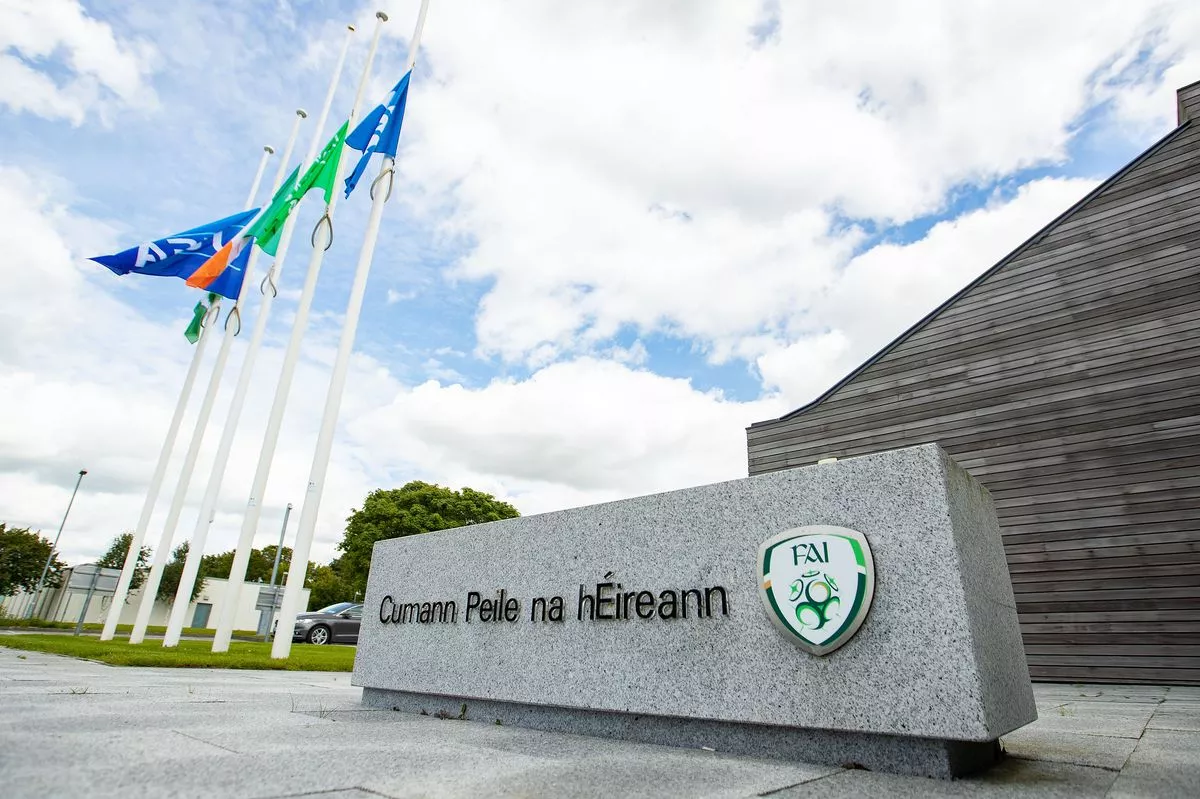 The FAI needed substantially more funding to kickstart its academy programme.