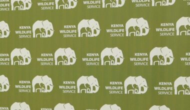 Kenyans protest after roaming elephants kill 4 people in a week