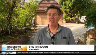 Kenneth Johnson, 63, had grown suspicious after finding broken and torn pieces of his home around the crawl space in April before discovering the bear last week