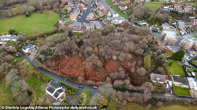An aerial image showing the scale of the knotweed infestation in the field close to Neil's home