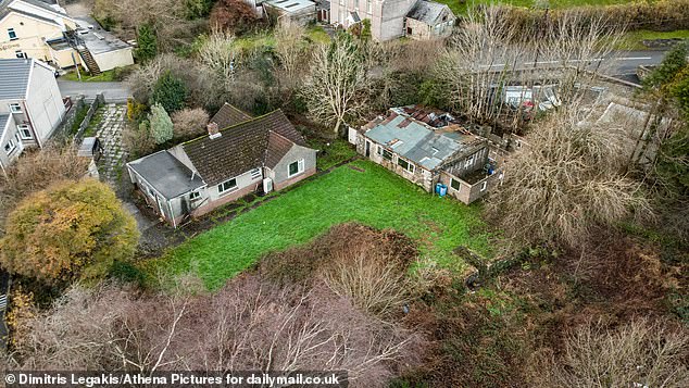 Because the house, and many others in the village, are surrounded by invasive Japanese knotweed