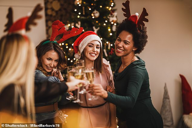 The holiday season often means festive drinks and special wines, but experts warn that mixing alcohol with common medications can pose serious risks that are easily avoided (stock image)