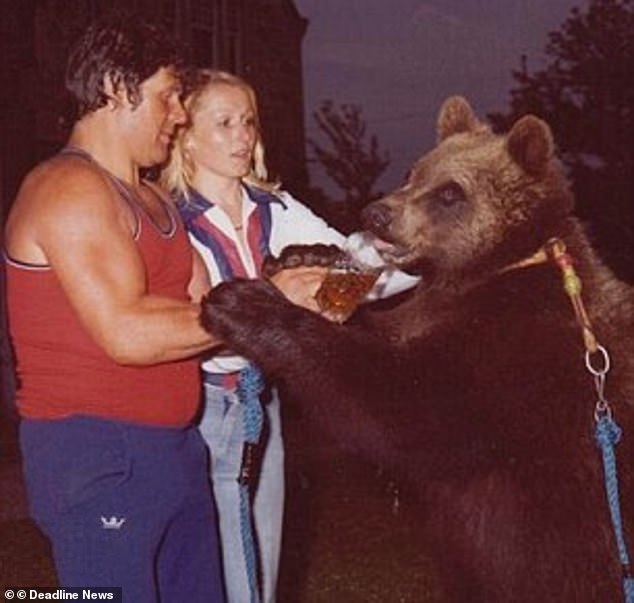 Scottish ex professional wrestler Andy Robin had fallen in love with the idea of owning a bear after being asked to wrestle on in Canada; the couple raised Hercules, who grew to 8ft and 65stone, like a child, with one friend describing their relationship as a 'love triangle'