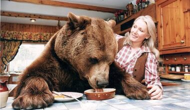 Hercules the grizzly bear came into the lives of Maggie and Andy Robin in 1975 when the couple bought him as a tiny cub for just £50 from a Scottish wildlife park (Pictured: Maggie Robin in the late 70s with Hercules)