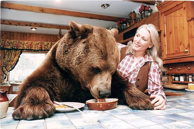 Hercules the grizzly bear came into the lives of Maggie and Andy Robin in 1975 when the couple bought him as a tiny cub for just £50 from a Scottish wildlife park (Pictured: Maggie Robin in the late 70s with Hercules)