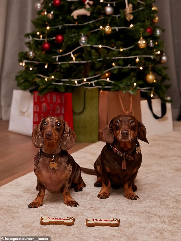 Their beloved dachshunds Pickles and Mustard stole the show as they sat patiently beneath the tree on a plush rug, with personalised bone-shaped cookies placed in front of them