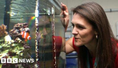 Ocean Census researcher's hunt for new deep-sea Antarctic species