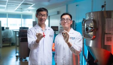 Chocolate could disappear by 2050. Could this climate-resistant alternative take its place?