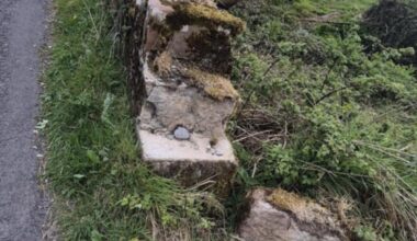 Safety concerns over Limerick bridge prompt engineer assessment request