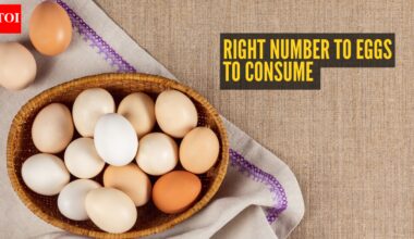 How many eggs should one safely eat in a day to get maximum protein