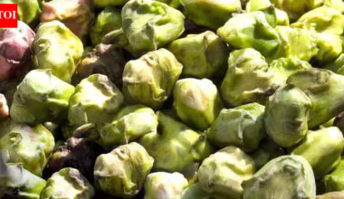 5 hidden benefits of eating water chestnut in winters: Benefits for immunity, digestion and heart |