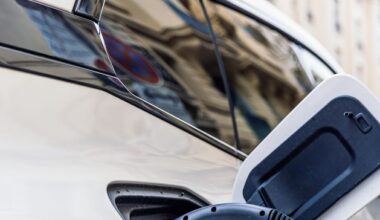 ‘As much use as giving slippers to an elephant’ – Irish politicians react to EU’s backtrack on 100pc electric car target