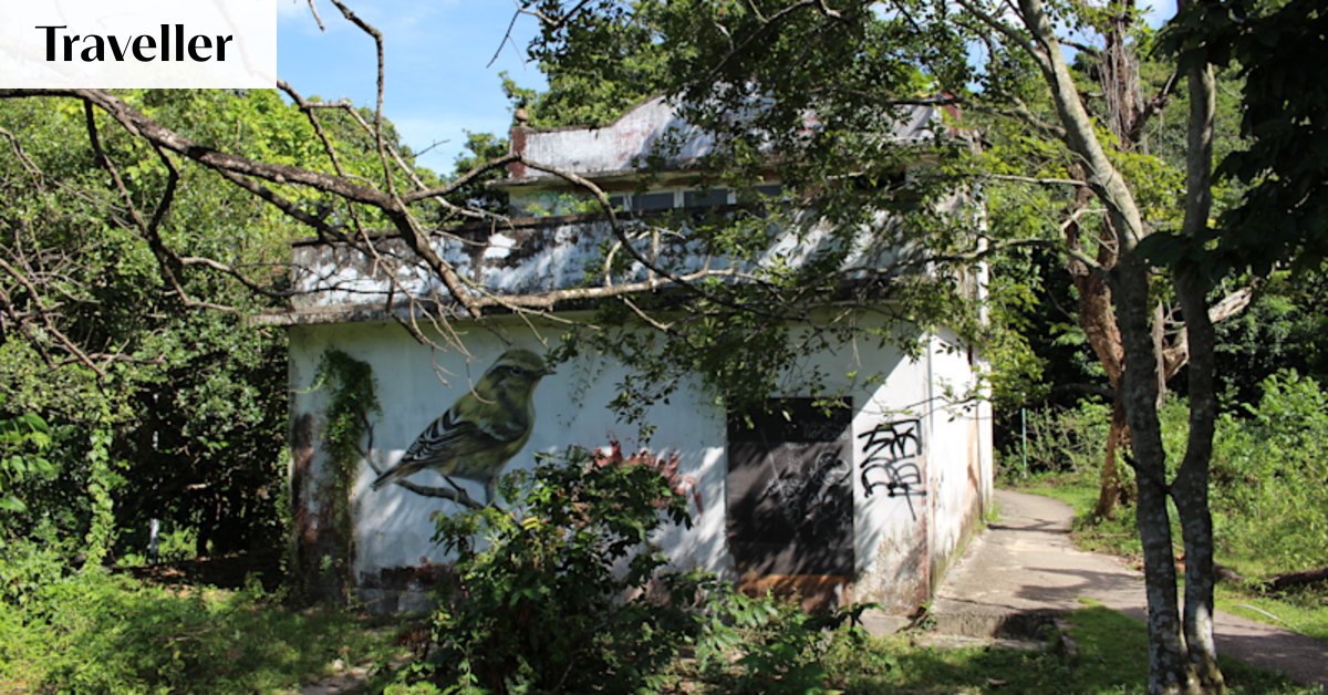 Discovering Hong Kong's secret open-air gallery on Lantau Island