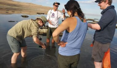 Great Salt Lake's latest species discovery gets a name fit for the lake's native history