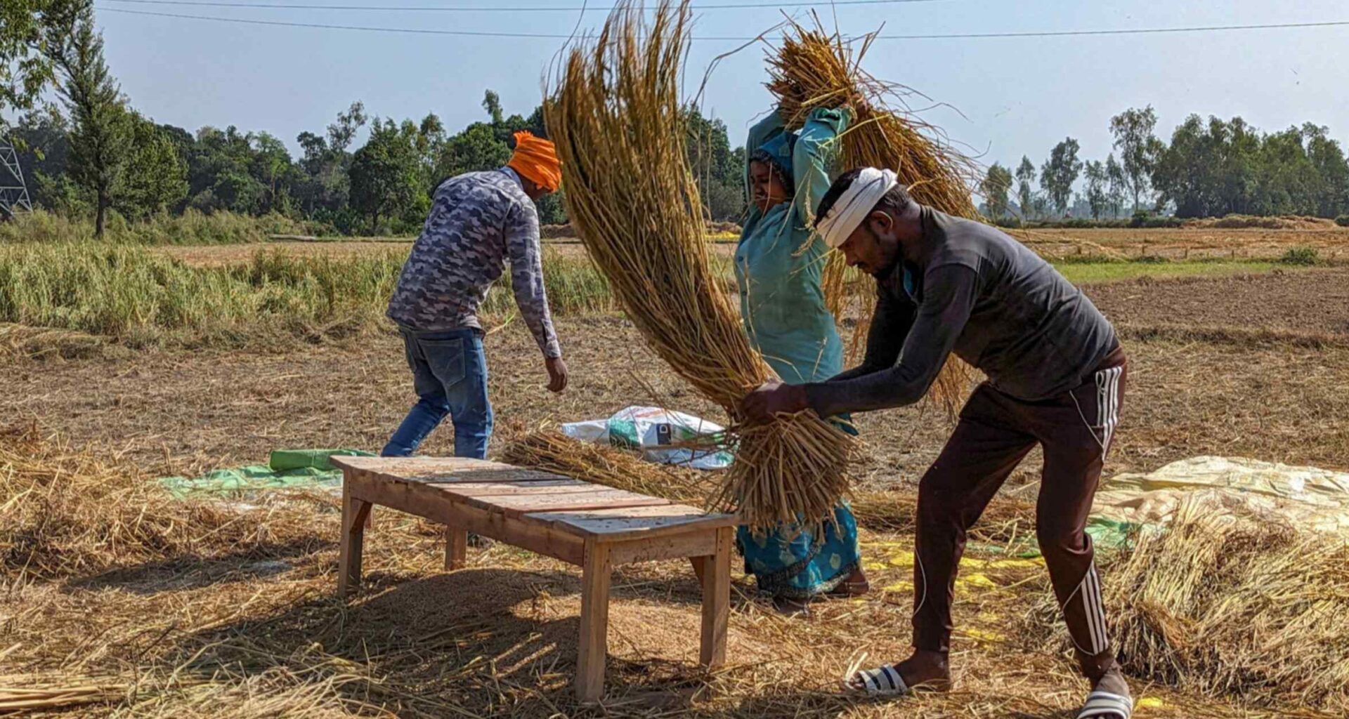 Is India's rice in Trump's line of fire now?