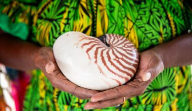 Five climate trailblazers: UNEP’S 2025 Champions of the Earth
