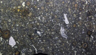 Newswise: Can Scientists Detect Life Without Knowing What it Looks Like? Research Using Machine Learning Offers a New Way