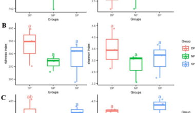 Analysing fungal microbiome differences between the roots of healthy and diseased Chinese hickory (Carya cathayensis) trees