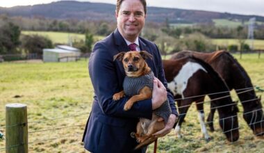 Sligo animal rescue centre receives funding of €46,000