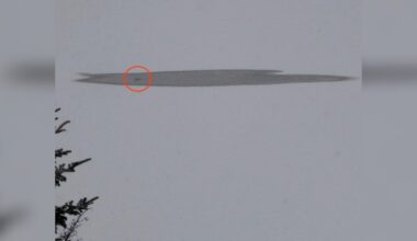 Residents See Black Speck On Frozen Lake And Realize An Animal Is Trapped