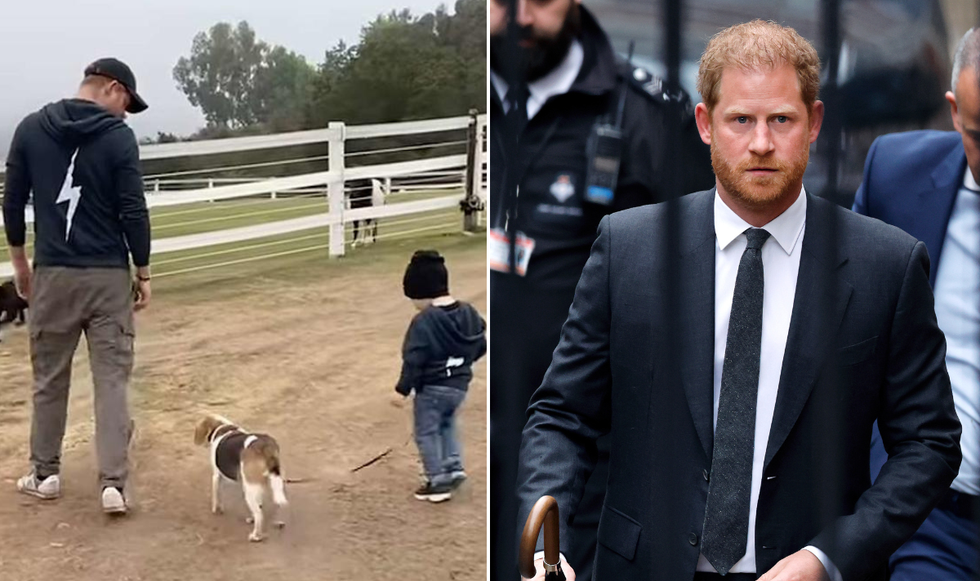 Prince Harry and Prince Archie