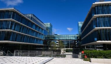 'Very strange' – former Meta worker admits assaulting security guard at Dublin HQ amid row over fake dating profile